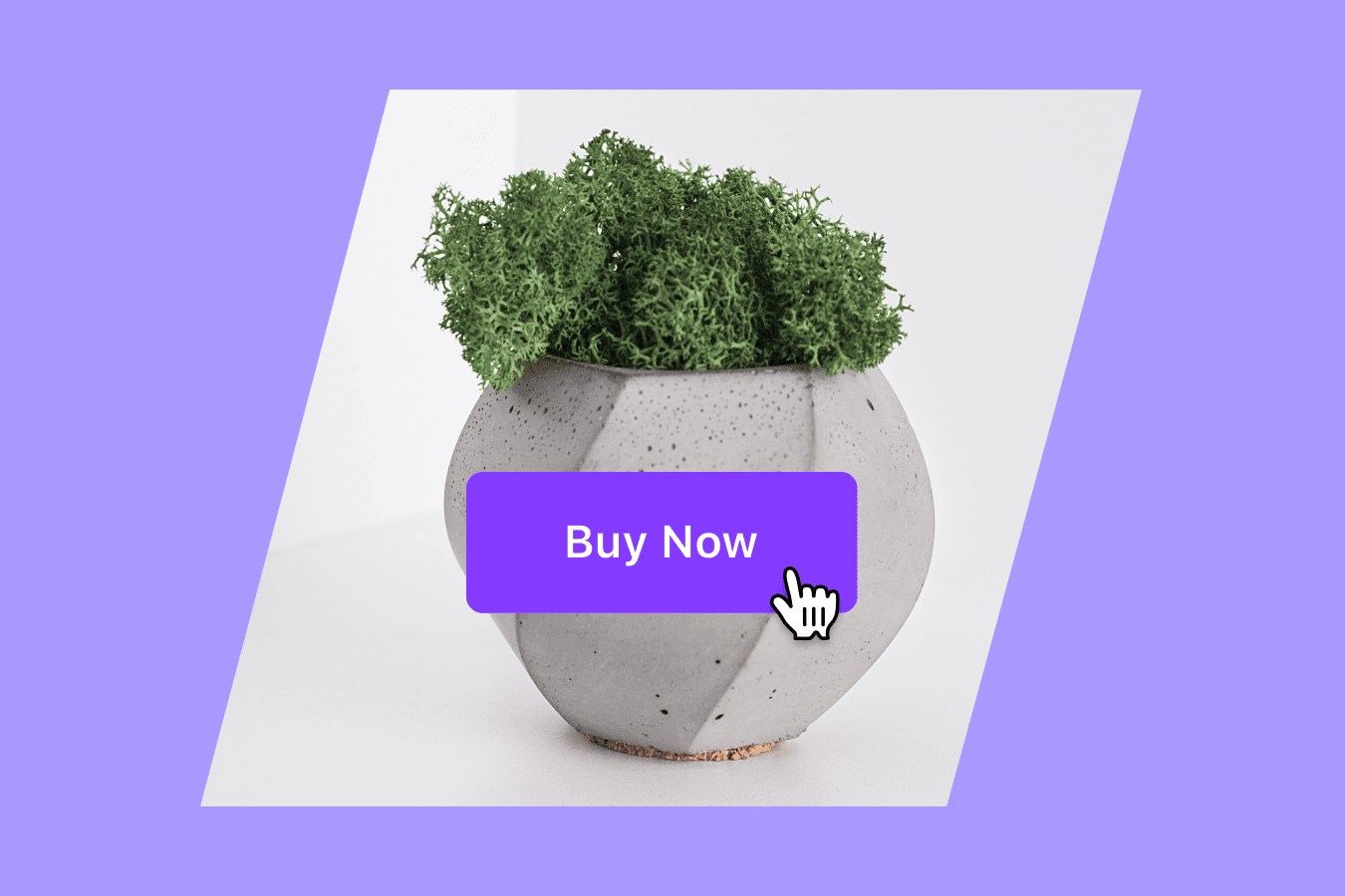 What Is Direct-to-Consumer? A Comprehensive Guide