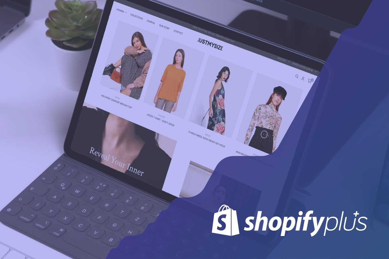 Switching to Shopify Plus? Why, When and How to do it.