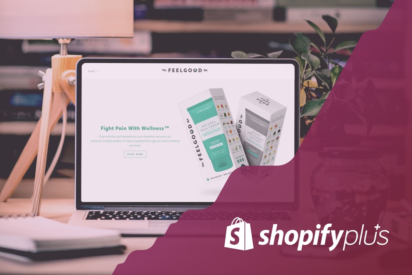 How much does Shopify Plus cost?