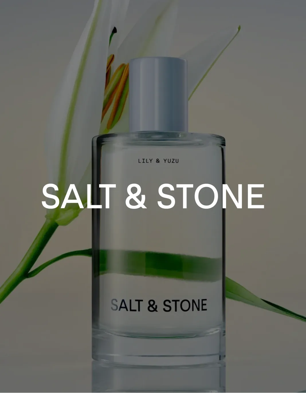 Salt & Stone