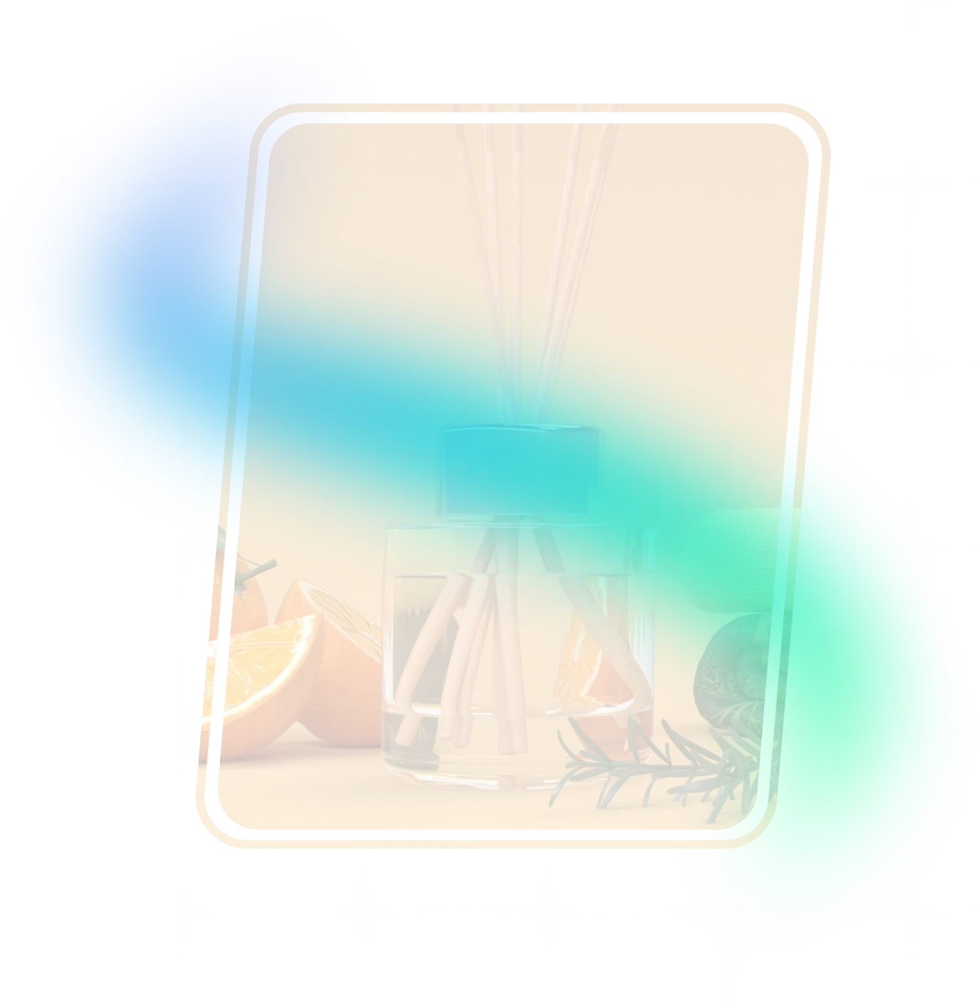 Home and household products