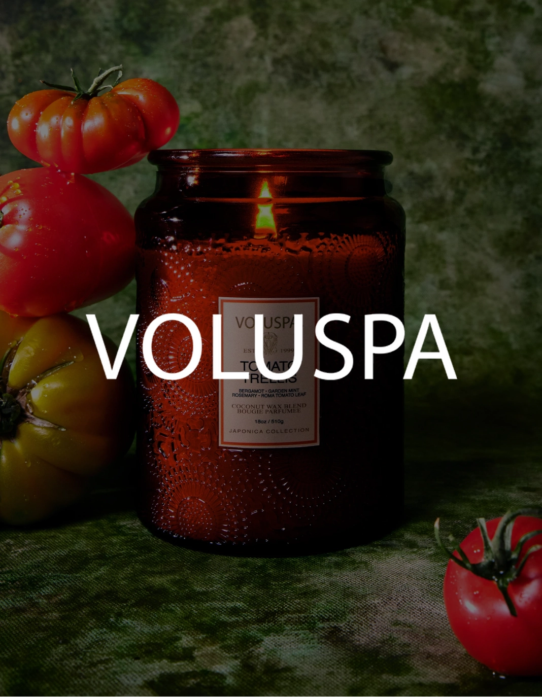 Voluspa