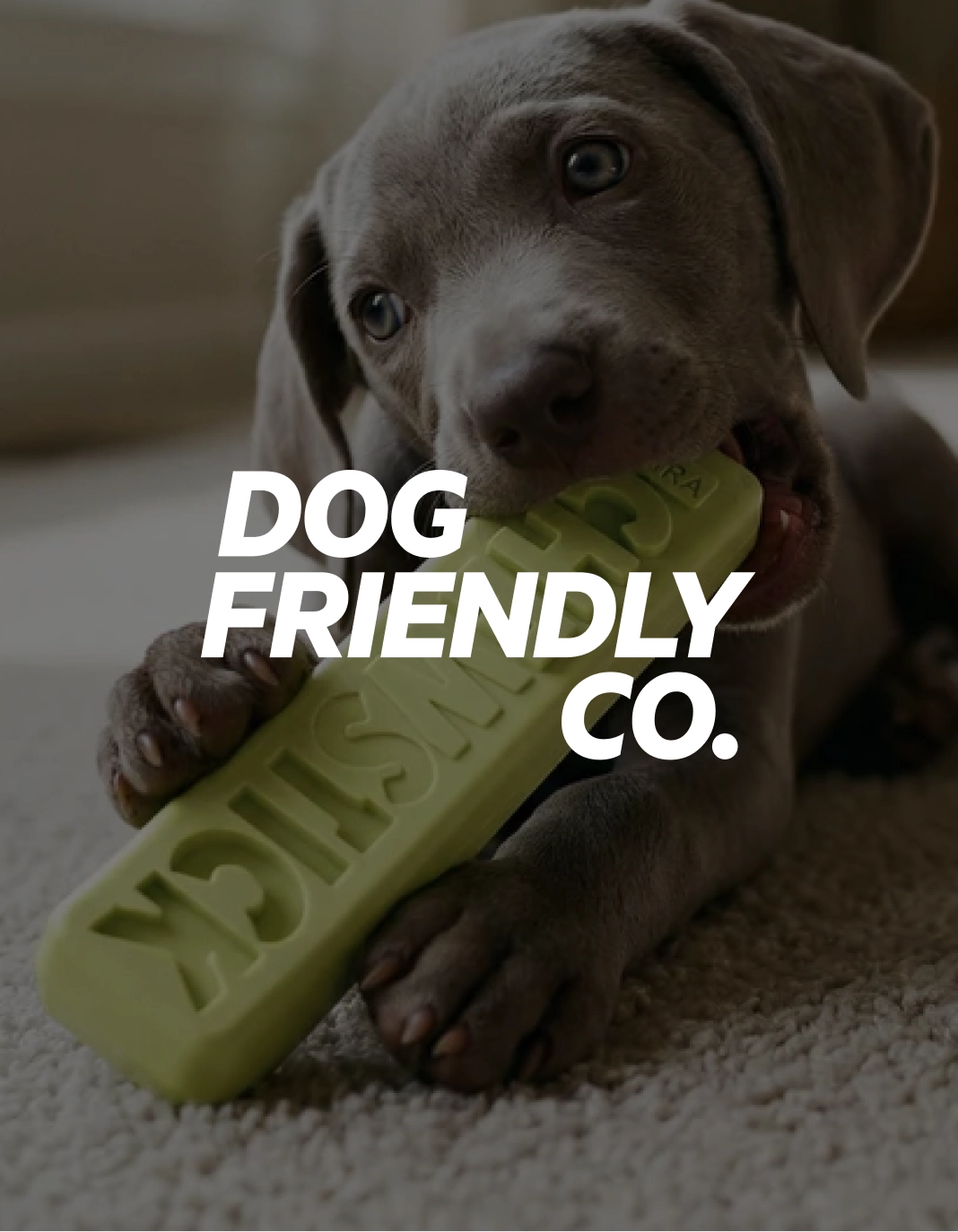 Dog Friendly Co