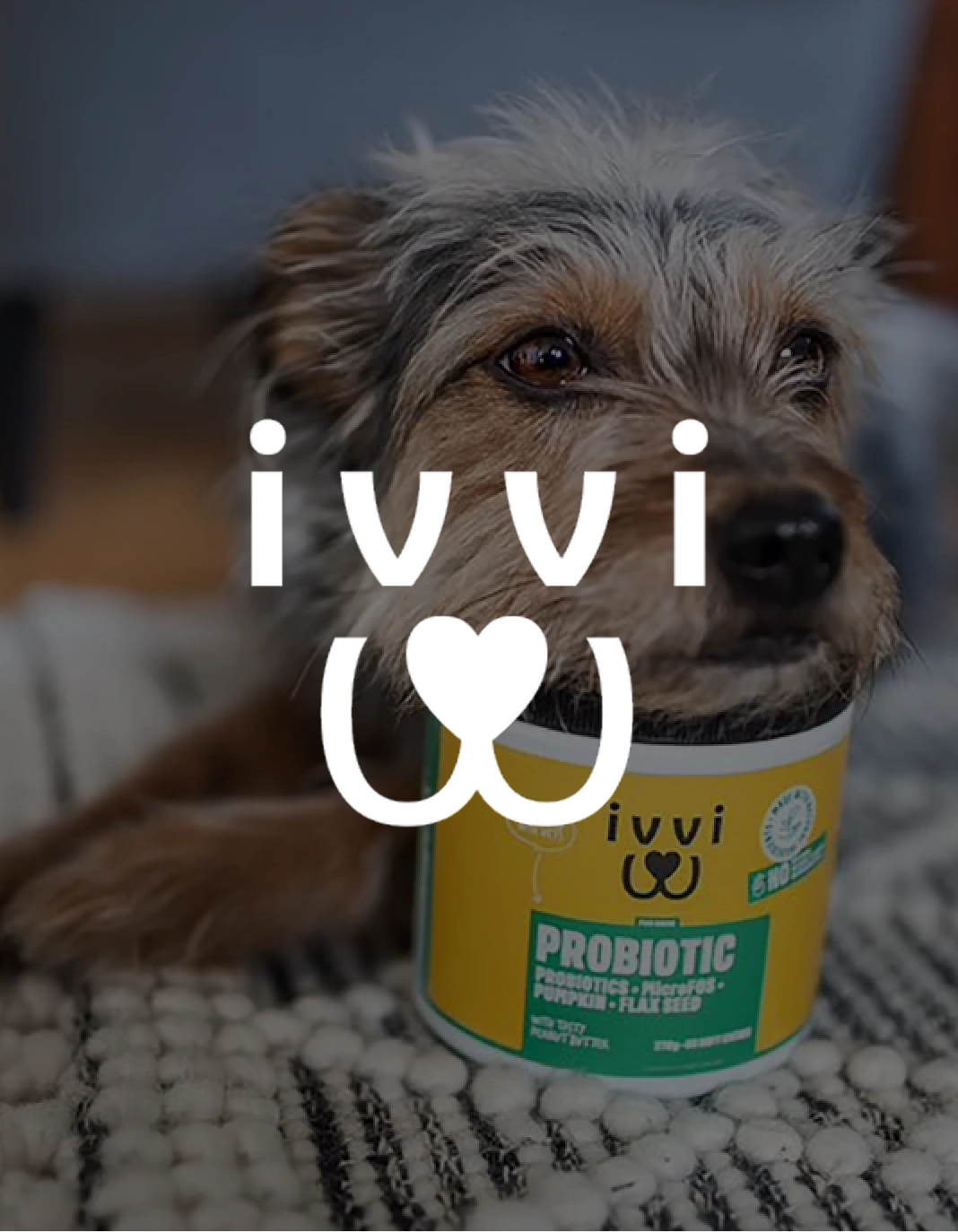 Ivvi