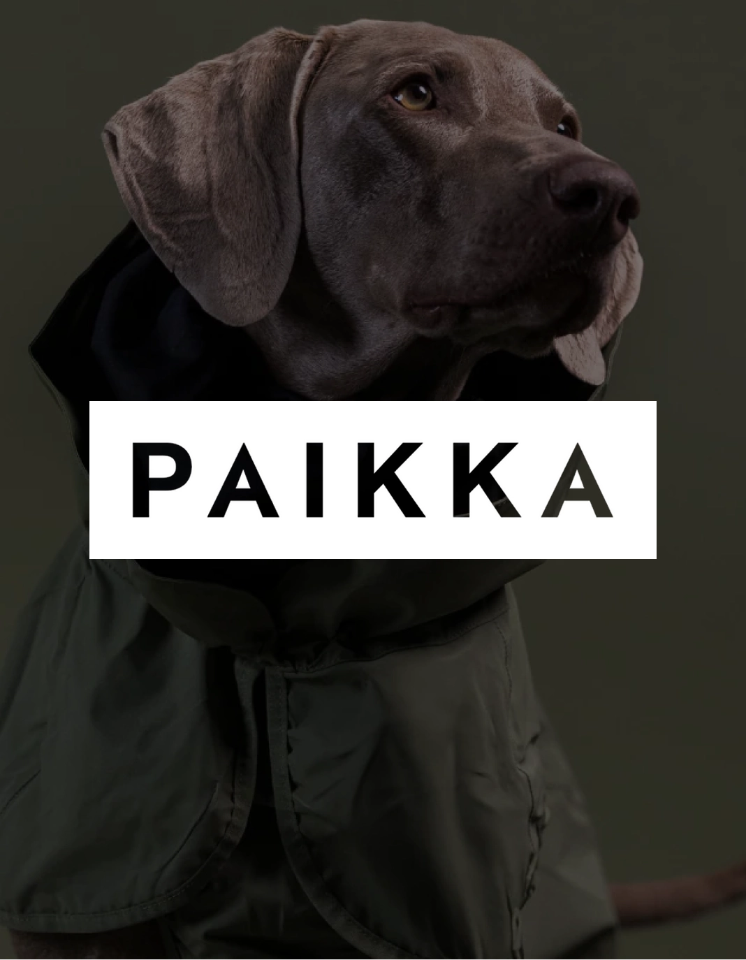 Paikka