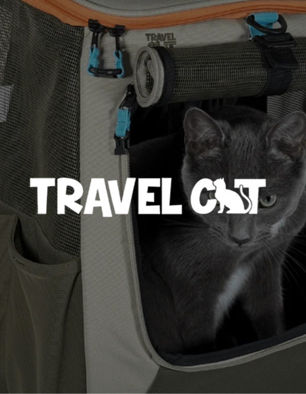 Travel Cat