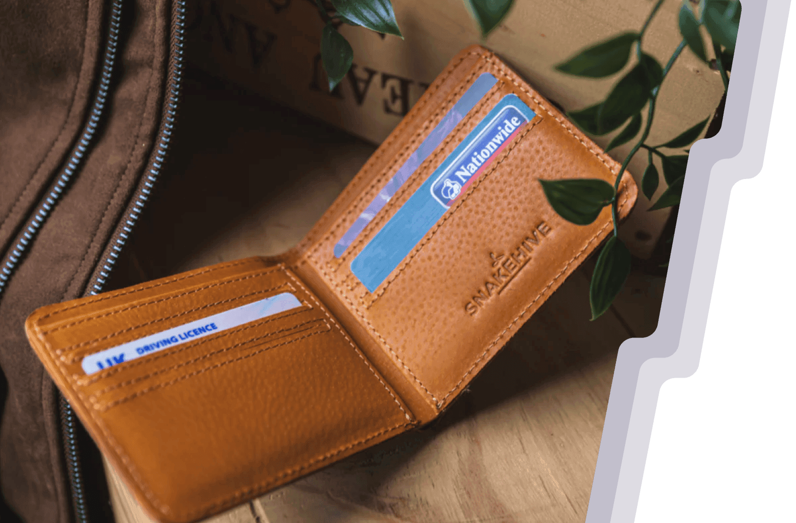 Snakehive case study