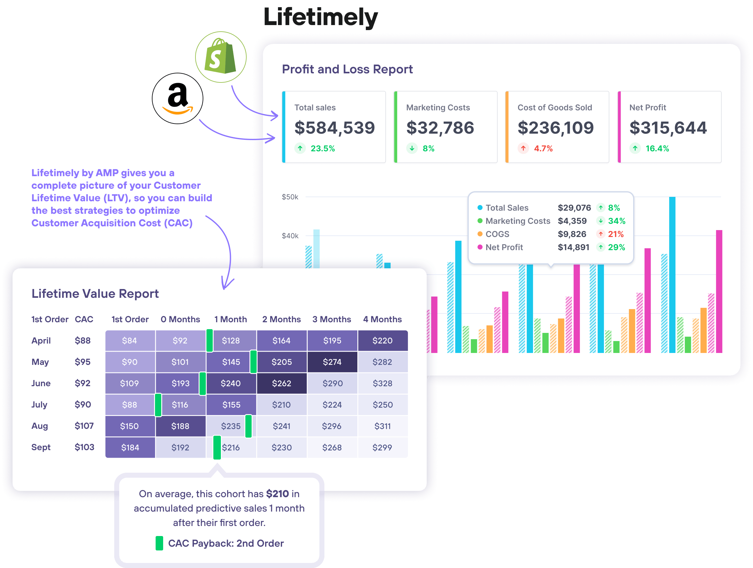 Woolly Clothing Lifetimely analytics