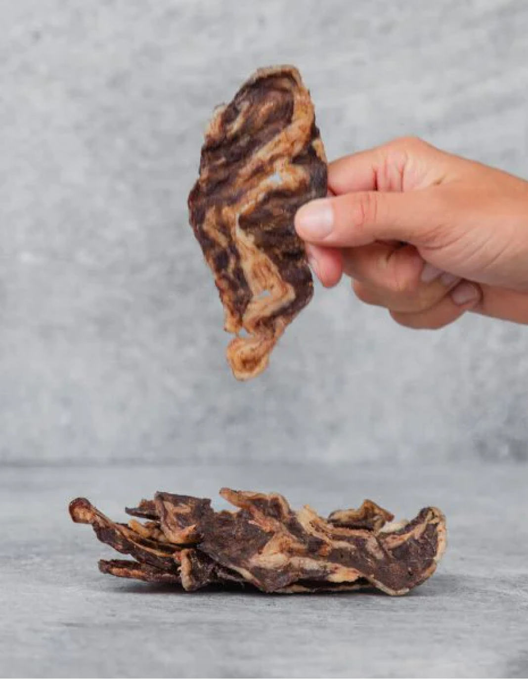 Carnivore Snax