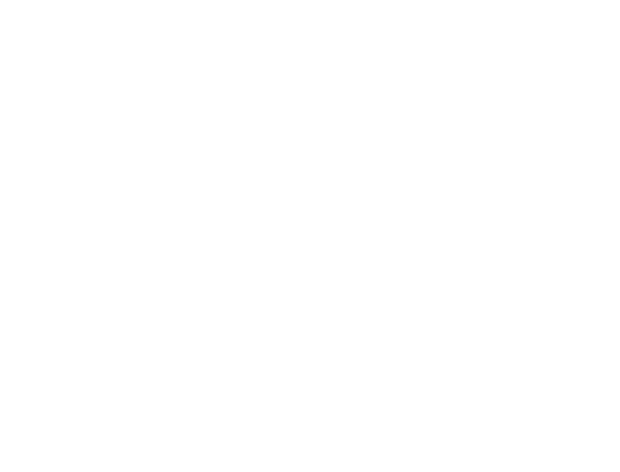 Ivvi