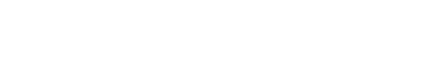 the laundress