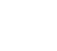 Will & Co