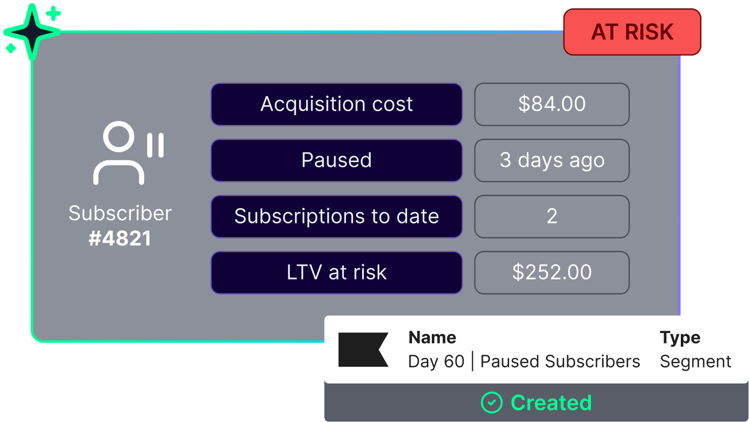 Lifetimely Profit Agent showing at-risk subscriber analytics from Skio