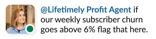 Slack thread mention: @Lifetimely Profit Agent if our weekly subscriber churn goes above 6% flag that here