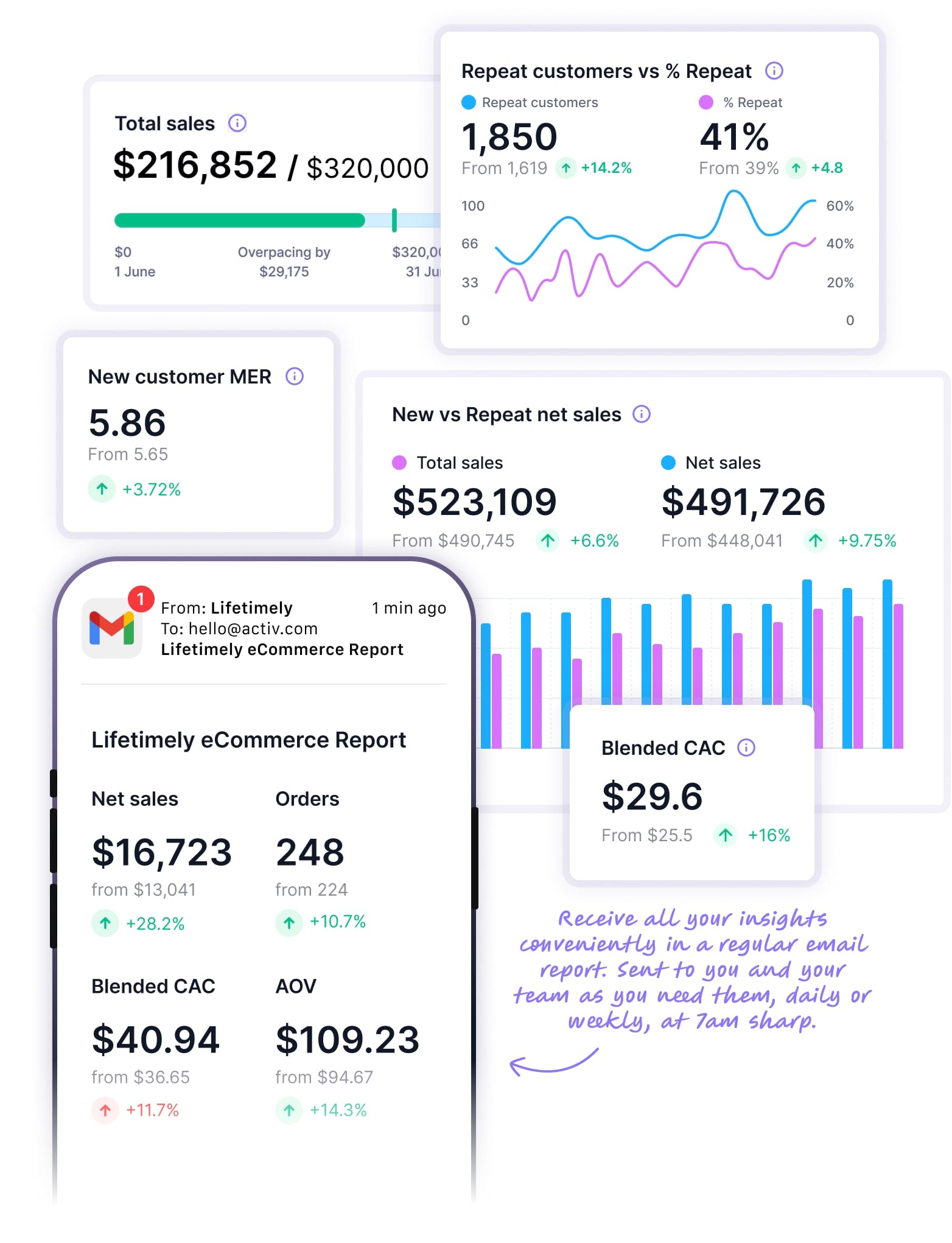 Lifetimely Custom Dashboards and Metrics