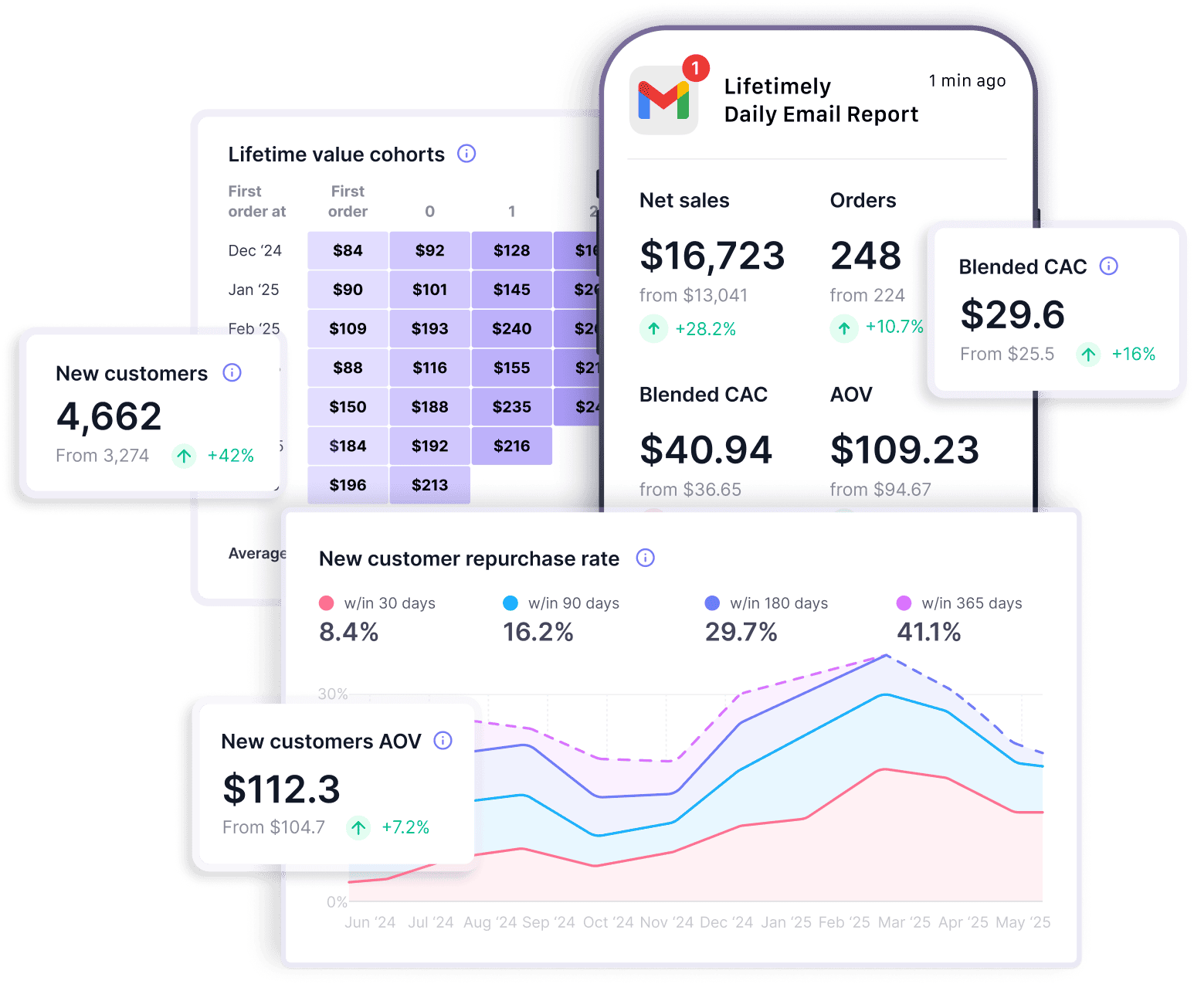 Lifetimely Analytics dashboard