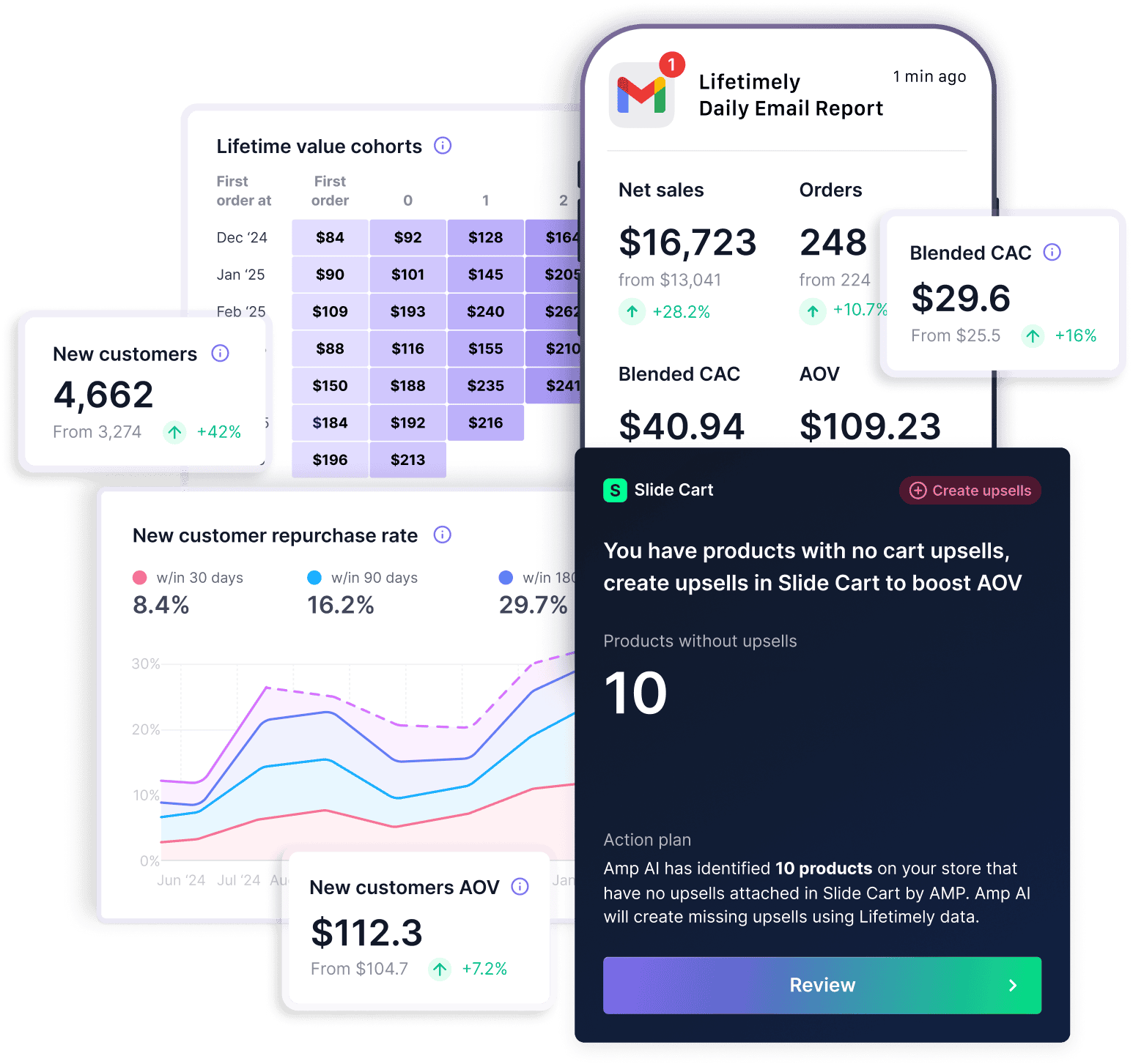 Lifetimely Profit & Loss — watch the overview