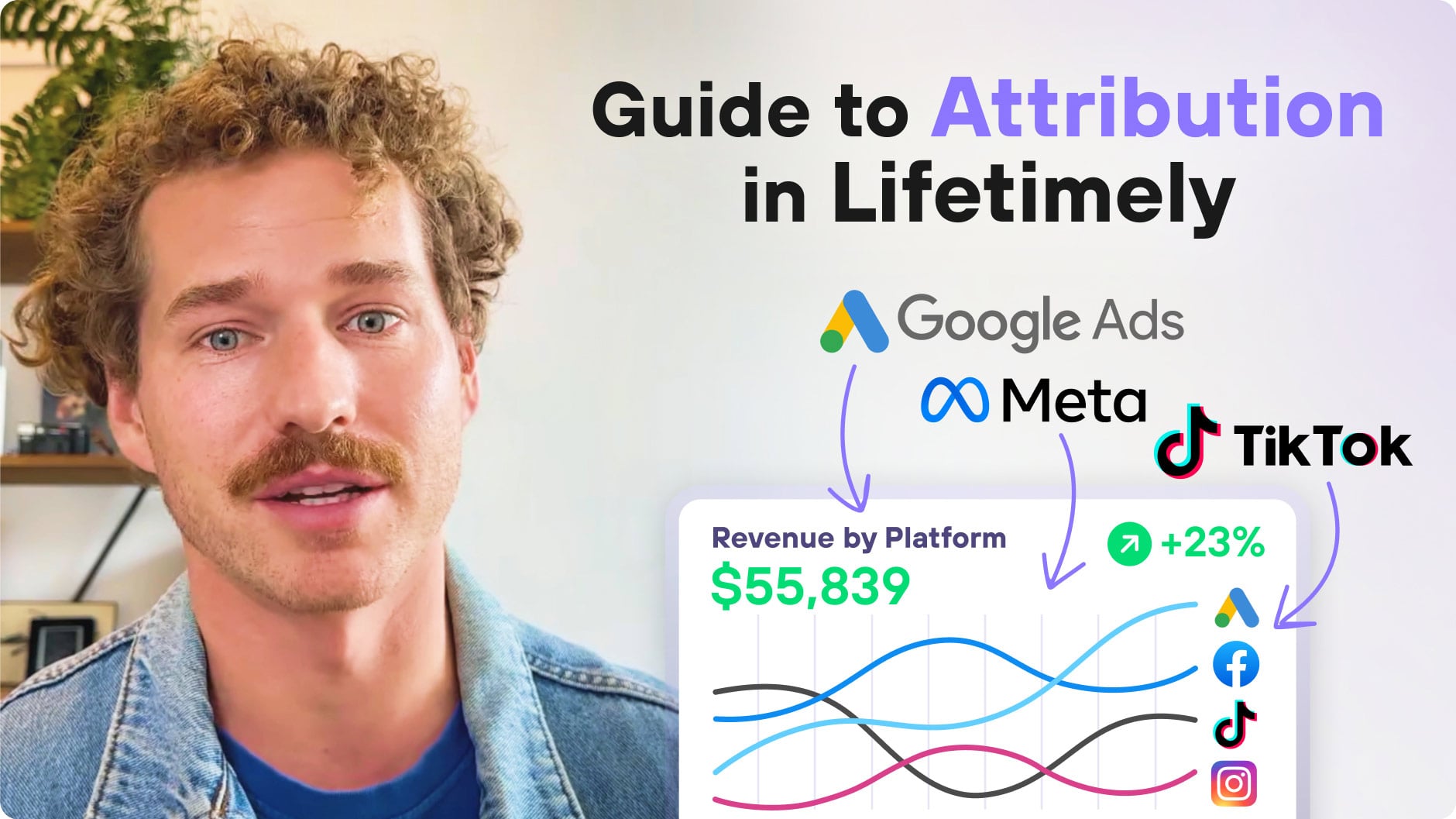 Lifetimely attribution dashboard showing channel performance and ROI