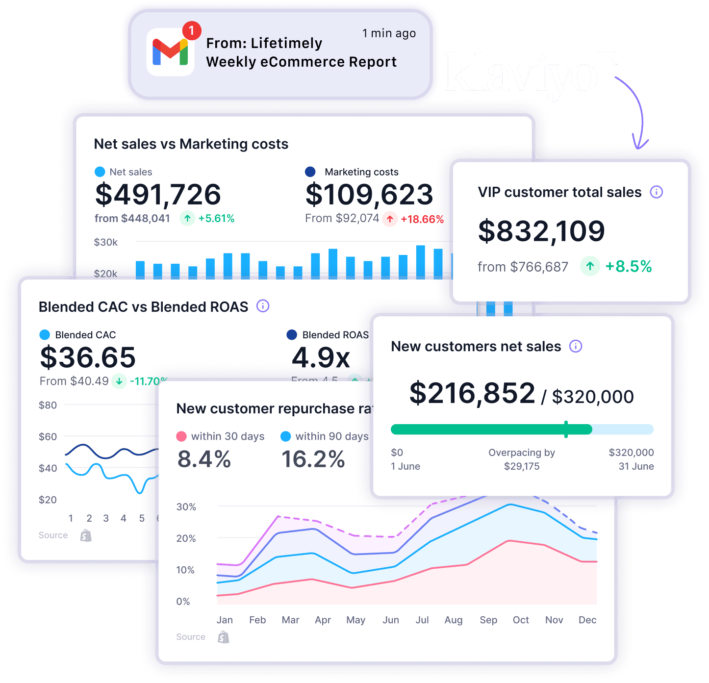 Lifetimely Custom Dashboards — watch the overview