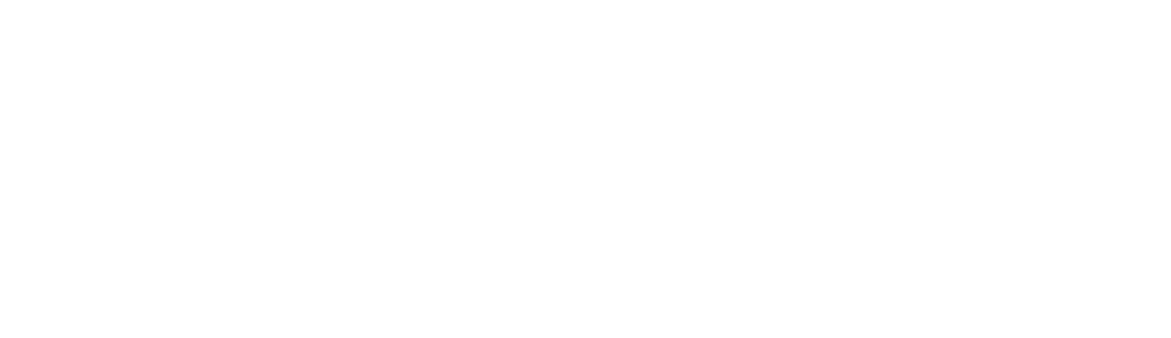 Agency Partner