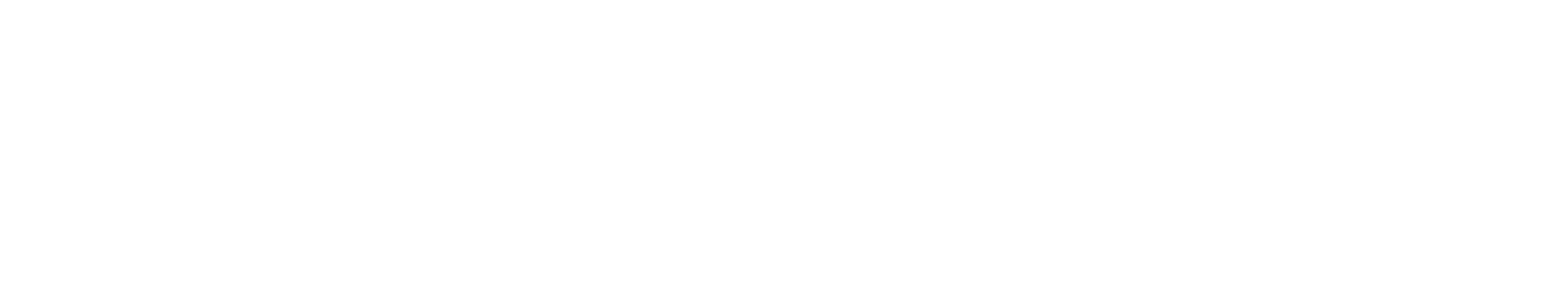 Agency Partner